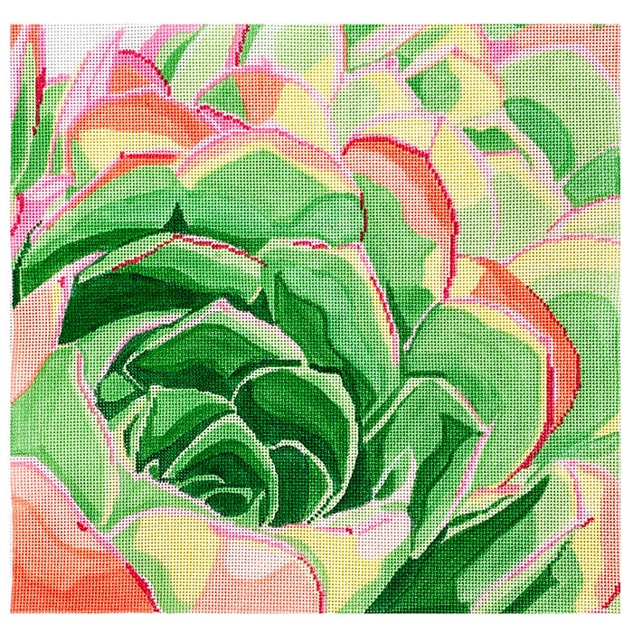 Succulent 14" Square Painted Canvas Jean Smith 