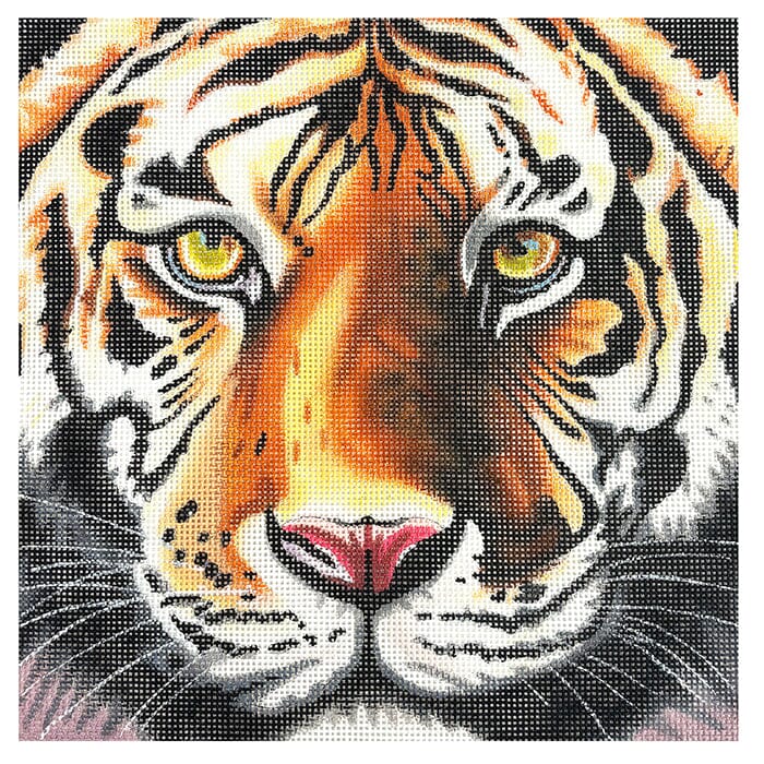 Tiger Face 10x10 Painted Canvas Colors of Praise 
