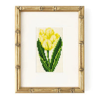 Tulip Starter Kit Kits Elizabeth Bradley Design 