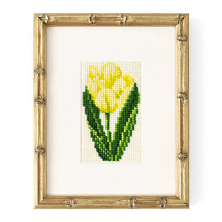 Tulip Starter Kit Kits Elizabeth Bradley Design 
