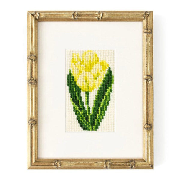 tulip-starter-kit-kits-