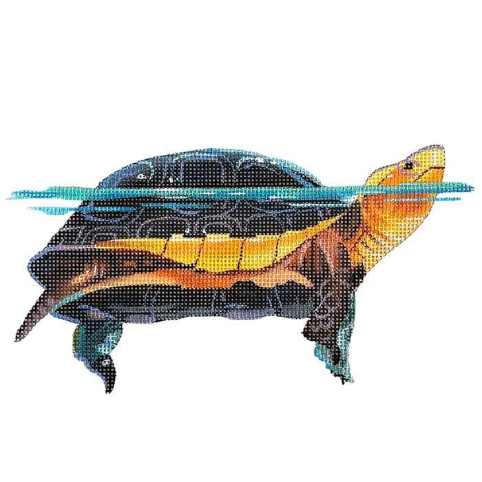 Turtle Illustration Painted Canvas Colors of Praise 