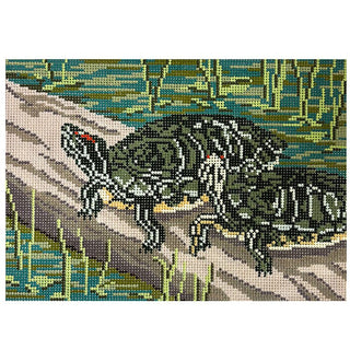 Turtle Pond on 13 Painted Canvas Needle Crossings 
