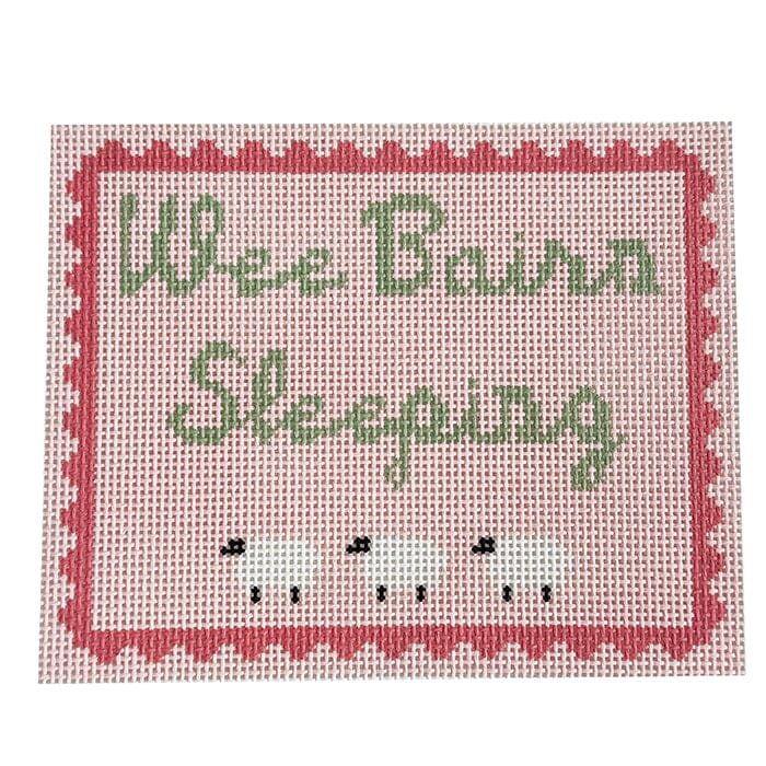 Wee Bairn Sleeping - Pink Painted Canvas Goodpoint Needlepoint 