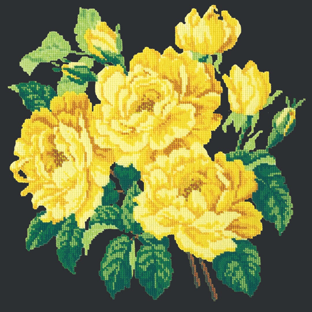 Yellow English Rose Needlepoint Kit Kits Elizabeth Bradley Design Black 