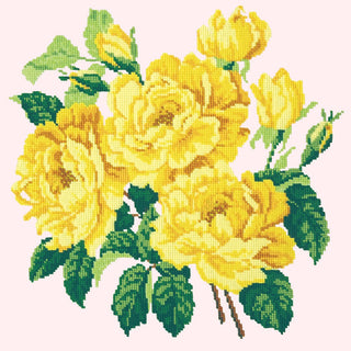 Yellow English Rose Needlepoint Kit Kits Elizabeth Bradley Design Cream 
