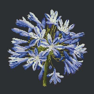 Agapanthus Needlepoint Kit Kits Elizabeth Bradley Design Black 
