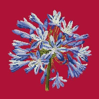 Agapanthus Needlepoint Kit Kits Elizabeth Bradley Design Bright Red 
