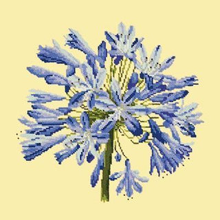 Agapanthus Needlepoint Kit Kits Elizabeth Bradley Design Butter Yellow 
