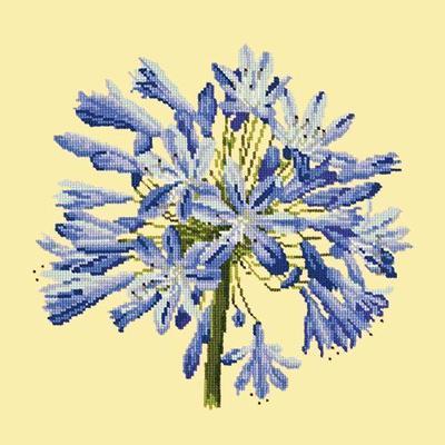 Agapanthus Needlepoint Kit Kits Elizabeth Bradley Design Butter Yellow 
