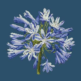Agapanthus Needlepoint Kit Kits Elizabeth Bradley Design Dark Blue 
