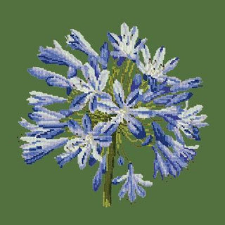 Agapanthus Needlepoint Kit Kits Elizabeth Bradley Design Dark Green 

