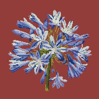 Agapanthus Needlepoint Kit Kits Elizabeth Bradley Design Dark Red 
