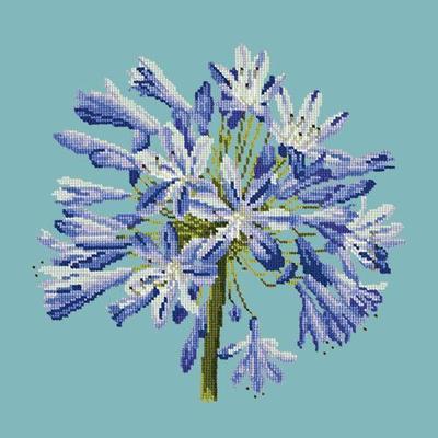 Agapanthus Needlepoint Kit Kits Elizabeth Bradley Design Duck Egg Blue 
