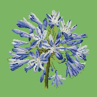 Agapanthus Needlepoint Kit Kits Elizabeth Bradley Design Grass Green 
