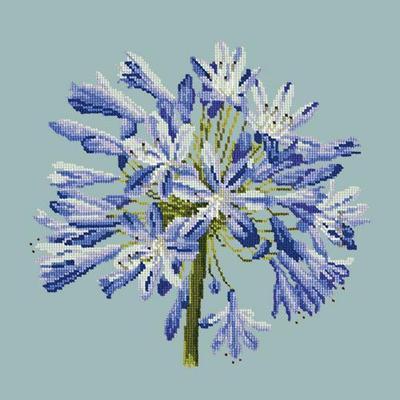 Agapanthus Needlepoint Kit Kits Elizabeth Bradley Design Pale Blue 