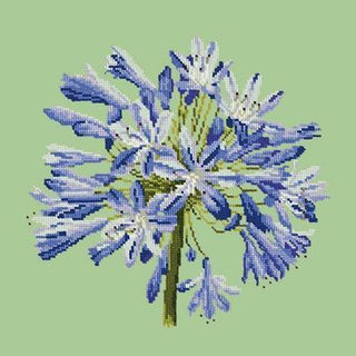 Agapanthus Needlepoint Kit Kits Elizabeth Bradley Design Pale Green 
