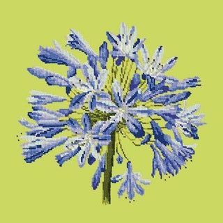 Agapanthus Needlepoint Kit Kits Elizabeth Bradley Design Pale Lime 
