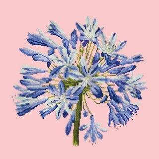 Agapanthus Needlepoint Kit Kits Elizabeth Bradley Design Pale Rose 
