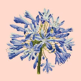 Agapanthus Needlepoint Kit Kits Elizabeth Bradley Design Salmon Pink 
