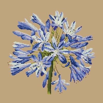 Agapanthus Needlepoint Kit Kits Elizabeth Bradley Design Sand 
