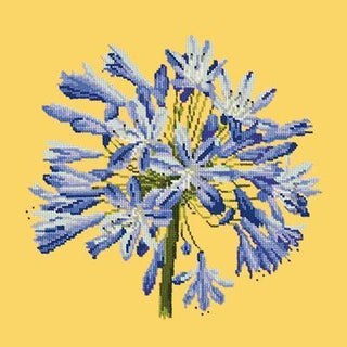 Agapanthus Needlepoint Kit Kits Elizabeth Bradley Design Sunflower Yellow 
