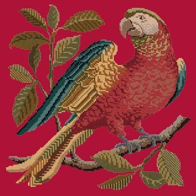 Alister the Parrot Needlepoint Kit Kits Elizabeth Bradley Design Bright Red 