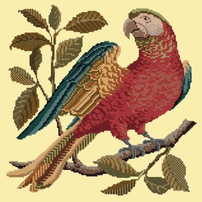 Alister the Parrot Needlepoint Kit Kits Elizabeth Bradley Design Butter Yellow 
