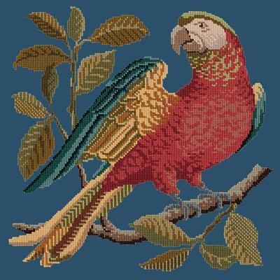 Alister the Parrot Needlepoint Kit Kits Elizabeth Bradley Design Dark Blue 
