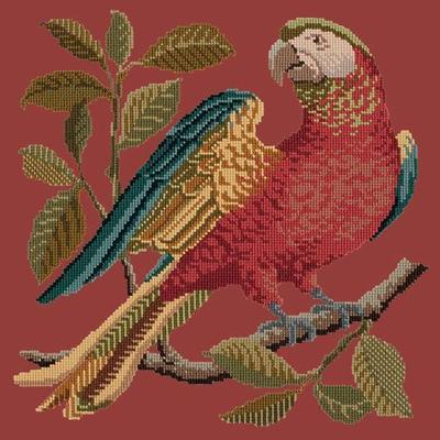 Alister the Parrot Needlepoint Kit Kits Elizabeth Bradley Design Dark Red 
