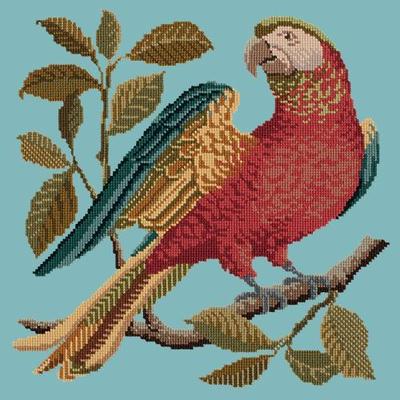 Alister the Parrot Needlepoint Kit Kits Elizabeth Bradley Design Duck Egg Blue 

