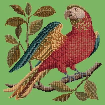 Alister the Parrot Needlepoint Kit Kits Elizabeth Bradley Design Grass Green 
