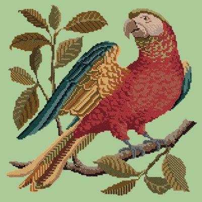 Alister the Parrot Needlepoint Kit Kits Elizabeth Bradley Design Pale Green 
