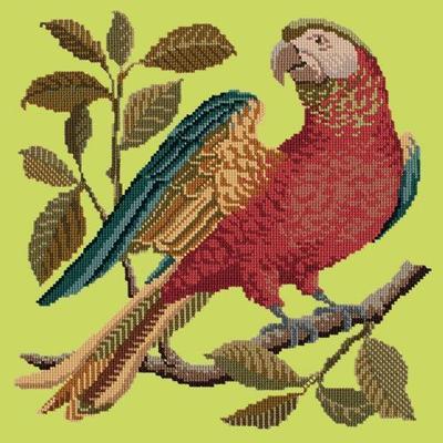 Alister the Parrot Needlepoint Kit Kits Elizabeth Bradley Design Pale Lime 
