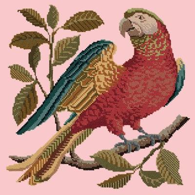 Alister the Parrot Needlepoint Kit Kits Elizabeth Bradley Design Pale Rose 
