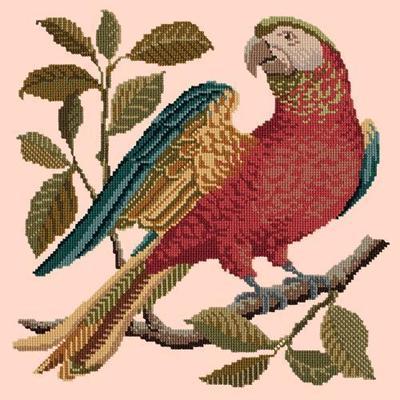 Alister the Parrot Needlepoint Kit Kits Elizabeth Bradley Design Salmon Pink 
