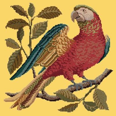 Alister the Parrot Needlepoint Kit Kits Elizabeth Bradley Design Sunflower Yellow 

