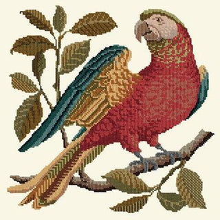 Alister the Parrot Needlepoint Kit Kits Elizabeth Bradley Design Winter White 
