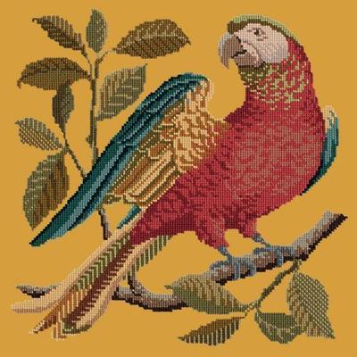 Alister the Parrot Needlepoint Kit Kits Elizabeth Bradley Design Yellow 
