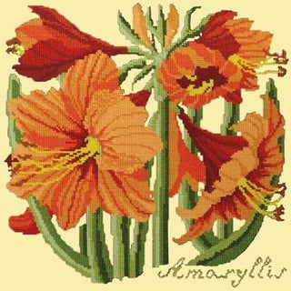 Amaryllis Needlepoint Kit Kits Elizabeth Bradley Design Butter Yellow 
