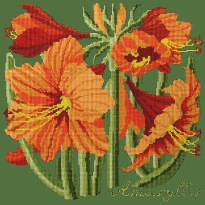 Amaryllis Needlepoint Kit Kits Elizabeth Bradley Design Dark Green 
