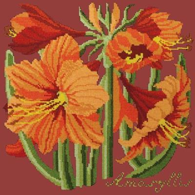 Amaryllis Needlepoint Kit Kits Elizabeth Bradley Design Dark Red 
