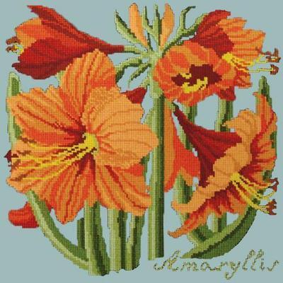 Amaryllis Needlepoint Kit Kits Elizabeth Bradley Design Pale Blue 
