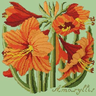 Amaryllis Needlepoint Kit Kits Elizabeth Bradley Design Pale Green 

