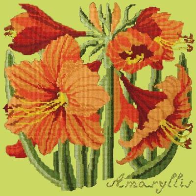 Amaryllis Needlepoint Kit Kits Elizabeth Bradley Design Pale Lime 
