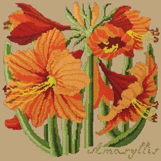 Amaryllis Needlepoint Kit Kits Elizabeth Bradley Design Sand 
