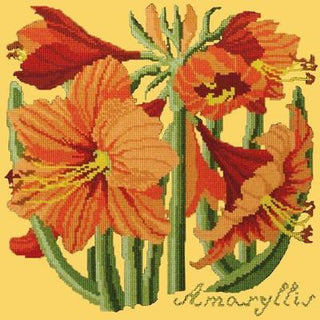 Amaryllis Needlepoint Kit Kits Elizabeth Bradley Design Sunflower Yellow 
