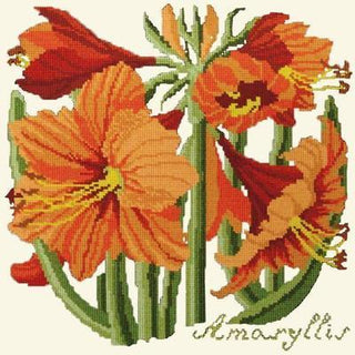 Amaryllis Needlepoint Kit Kits Elizabeth Bradley Design Winter White 

