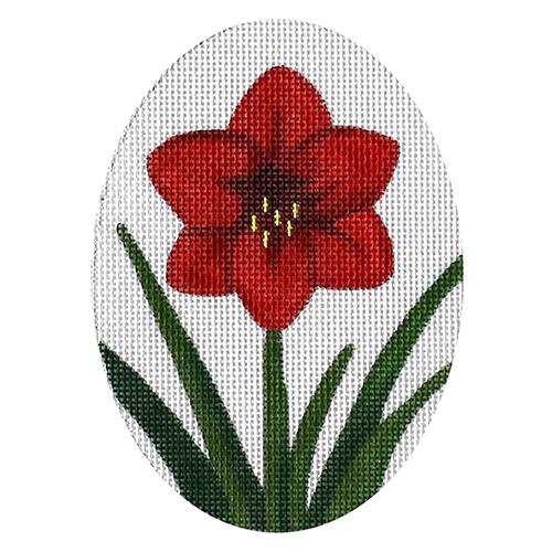 Amaryllis Oval Painted Canvas Raymond Crawford Designs 