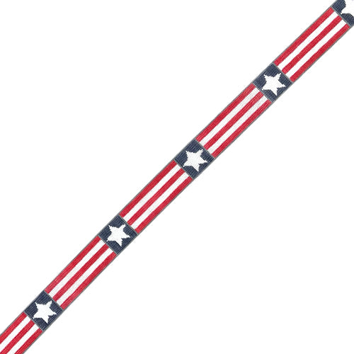 America Belt CO Painted Canvas Cooper Oaks Design  - 1